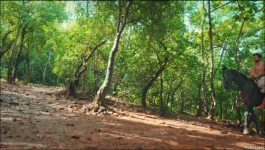 Jagriti Ek Nayi Subah - 24th September 2024